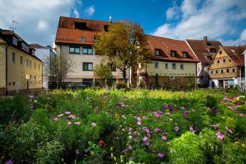 Biodiversité urbaine et richesse des ménages © Shutterstock Biodiversité urbaine et richesse des ménages