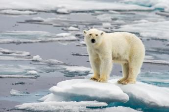 Changement climatique : comment repenser le système ? Changement climatique : comment repenser le système ?
