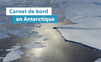 Carnet de bord en Antarctique Carnet de bord en Antarctique