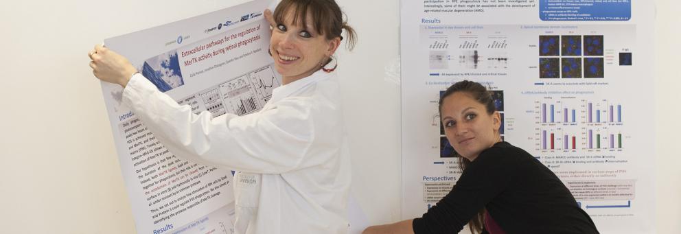 Stratégie de recherche / Partenaires de recherche Stratégie de recherche / Partenaires de recherche