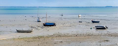 Covid-19. Un ver marin au secours des malades. Entretien avec Franck Zal, cofondateur d'Hemarina Covid-19. Un ver marin au secours des malades. Entretien avec Franck Zal, cofondateur d'Hemarina