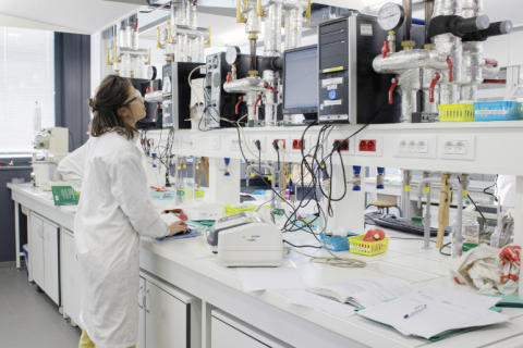 Researcher in a lab Researcher in a lab