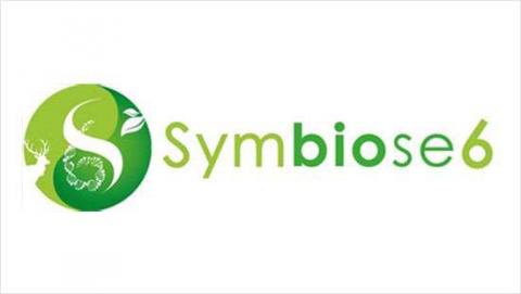 Symbiose 6 Symbiose 6