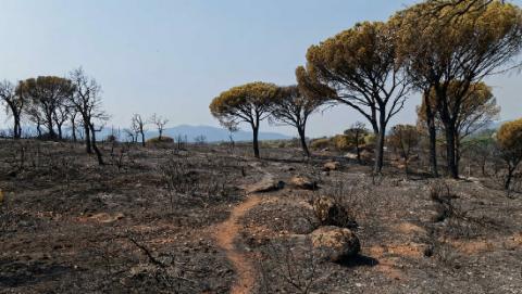 Incendie dans le Var Incendie dans le Var