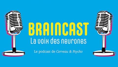 Les Braincasts Les Braincasts