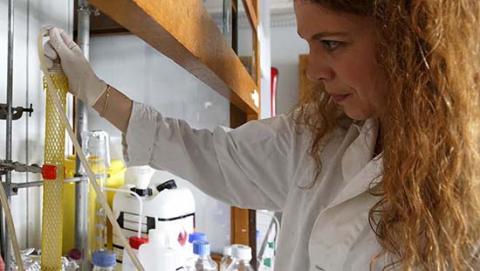 Demande d’aide spécifique pour les personnes boursières en doctorat : ASDB (sciences) Demande d’aide spécifique pour les personnes boursières en doctorat : ASDB (sciences)