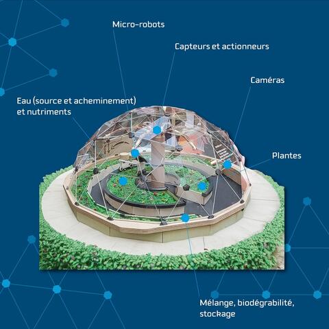 Projet de la serre géodésique Projet de la serre géodésique